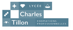 Lycée Charles Tillon, formations professionnelles